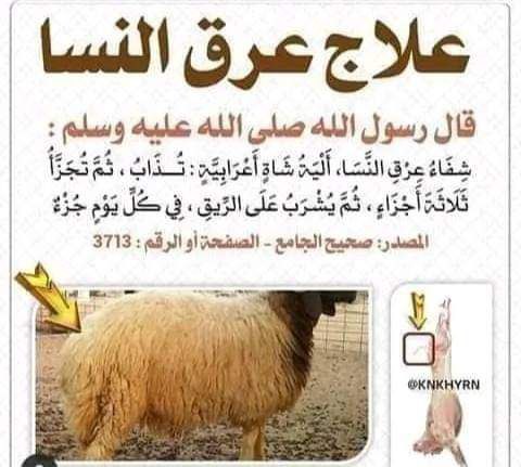 قناة جزائر السنة على التلجرام ***?***