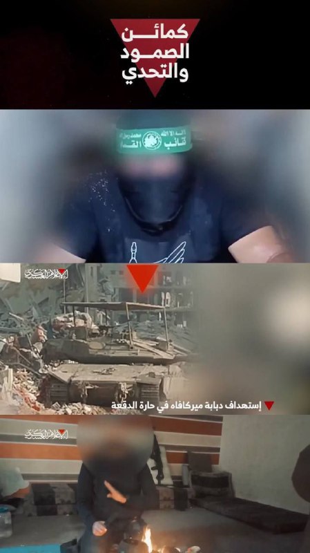 ***🔻******🟢*** حشَدوا تِلكَ الأَلْويَة الخائِبة لتهزِمَ …