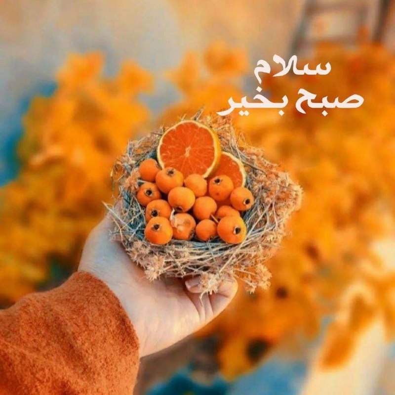 امـروزتون بخـیرونیکی