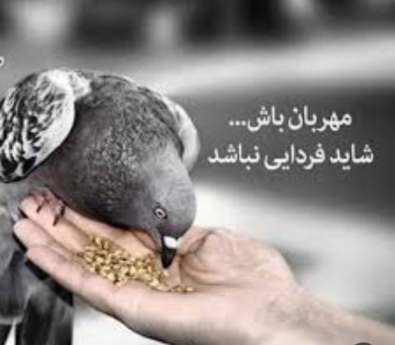 [#به\_وقت\_زبان\_مادری](?q=%23%D8%A8%D9%87_%D9%88%D9%82%D8%AA_%D8%B2%D8%A8%D8%A7%D9%86_%D9%85%D8%A7%D8%AF%D8%B1%DB%8C)