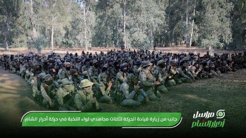 طارق ضاهر