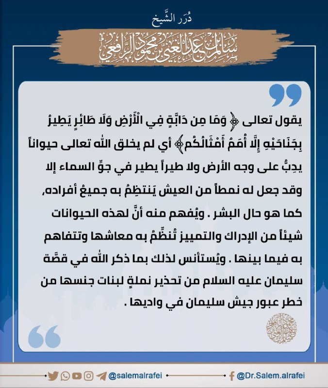 الشيخ الدكتور سالم الرافعي