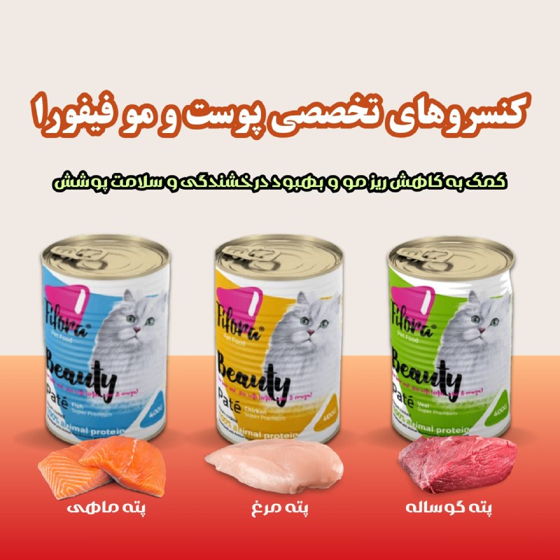 [#کنسرو](?q=%23%DA%A9%D9%86%D8%B3%D8%B1%D9%88) کنسرو گربه پوست و مو …