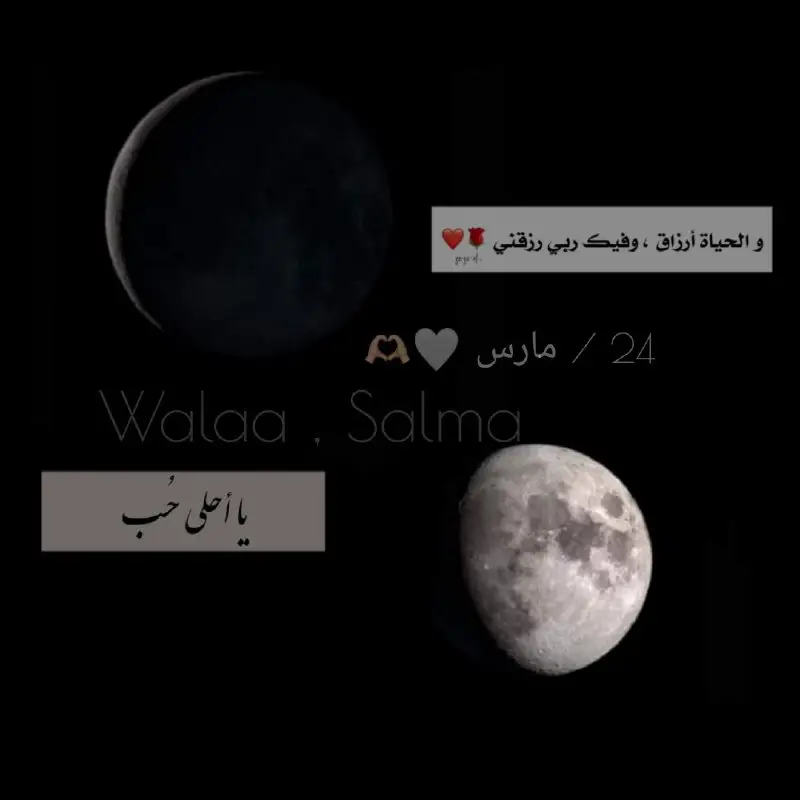 ٢٤ / مارس