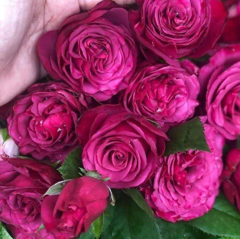 ***⚡️***خيرى كه به دنبال آن آتش …