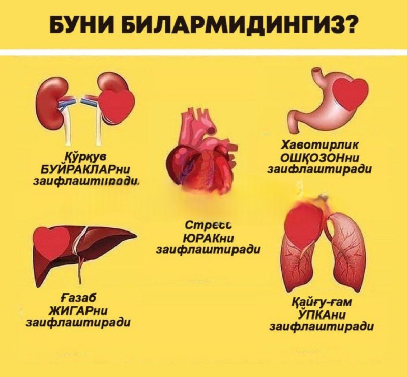 [#Билиб\_олинг](?q=%23%D0%91%D0%B8%D0%BB%D0%B8%D0%B1_%D0%BE%D0%BB%D0%B8%D0%BD%D0%B3)