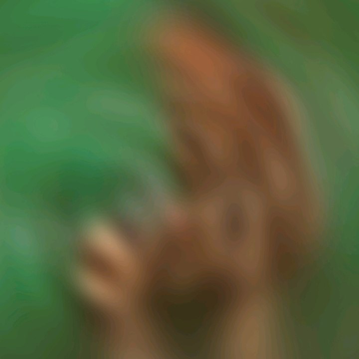 فولوهنايحبايبي***?***