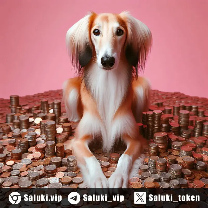 SALUKI is a rug-proof deflationary BEP20 …