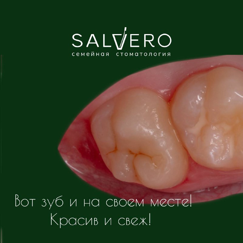 Salvero/Сальверо - семейная стоматология