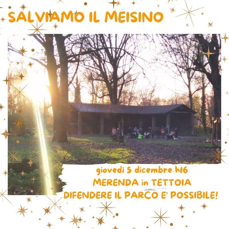 Salviamo il Meisino