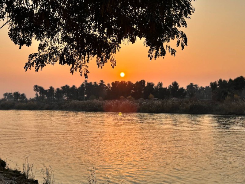 يشكو الفؤادُ إلى الرّحمن وحْشَتهُ والنَّفُس …