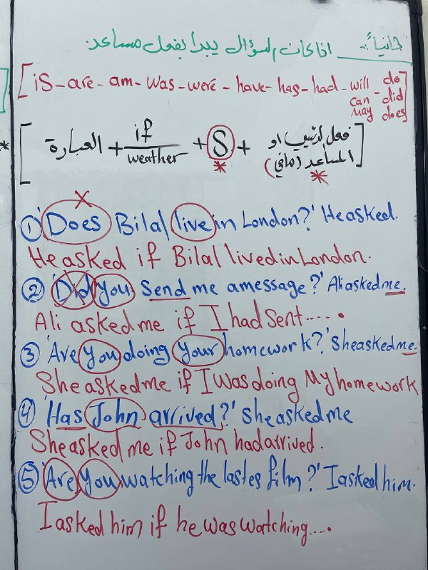 الست سماح الخفاجي