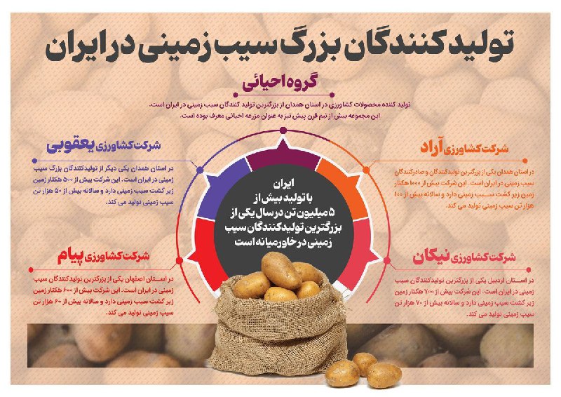 ***🔺*****تولید کنندگان بزرگ سیب زمینی در …