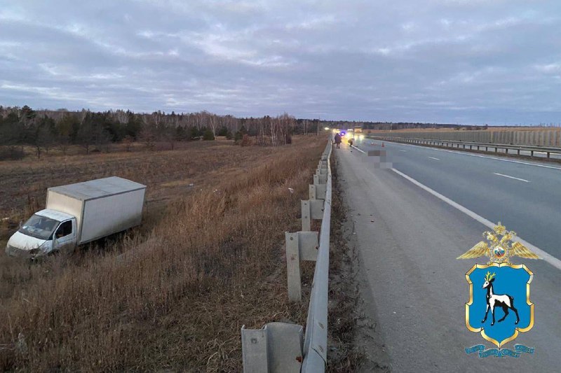 **Под Самарой на трассе М-5 грузовая …