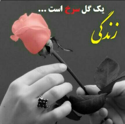 **تقدیم به هر کس که داره***🌸***