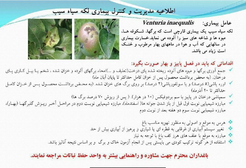 ***?*** **دستورالعمل کلی مدیریت و مبارزه …