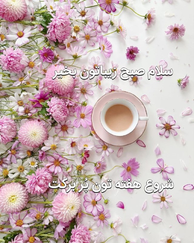 ***🌸***سلام