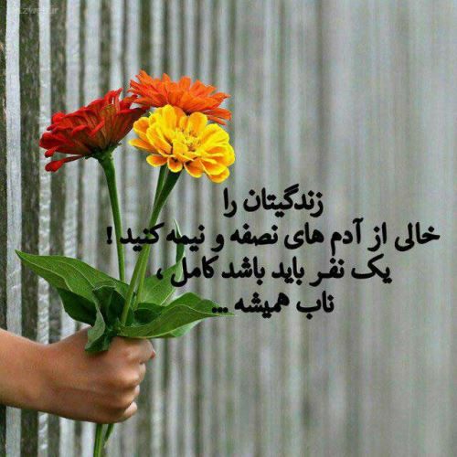 وجود هیچکس غمها را از بین …