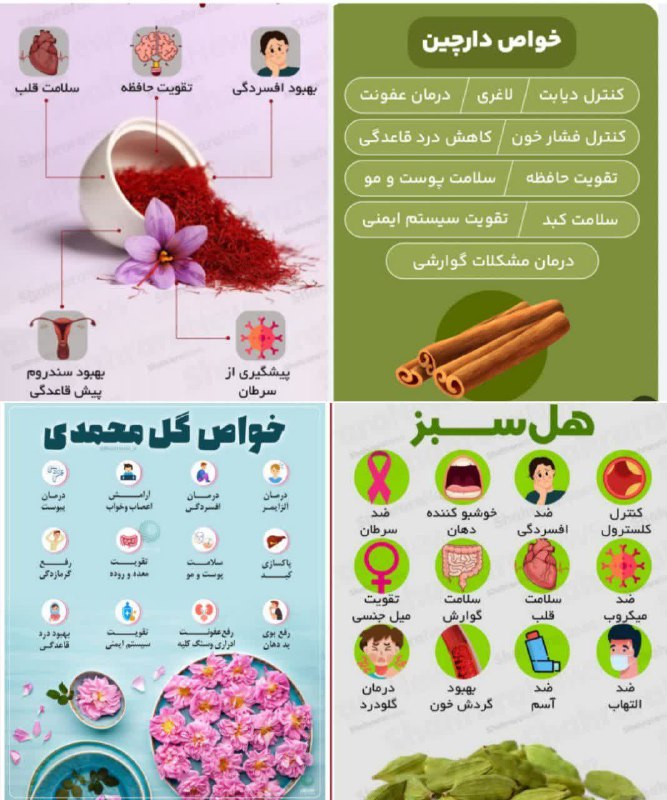 اگه طبـع بدنت سرده***🥶***