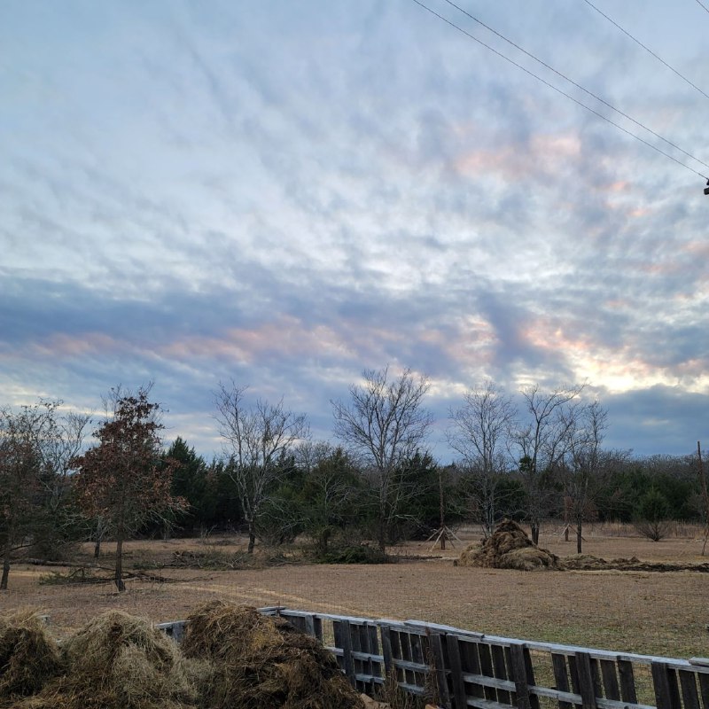 Sissy & Bubba's Farmstead