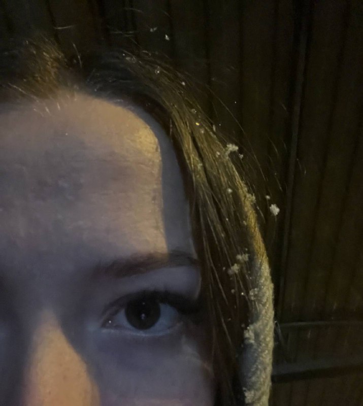 ***❄️******❄️******❄️***