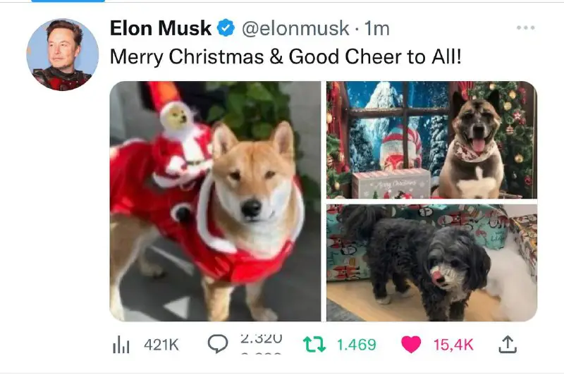 Elon musk mentioned Santa Doge, PUMP …