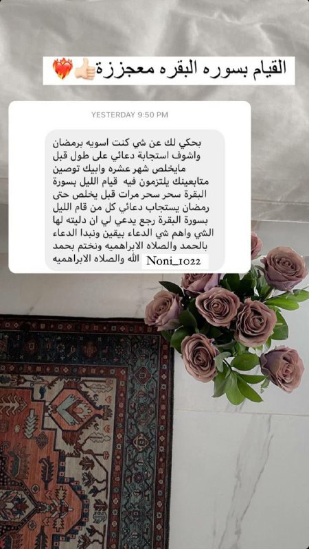سَـ𓂆ـارَة القَيسيّ🤍.
