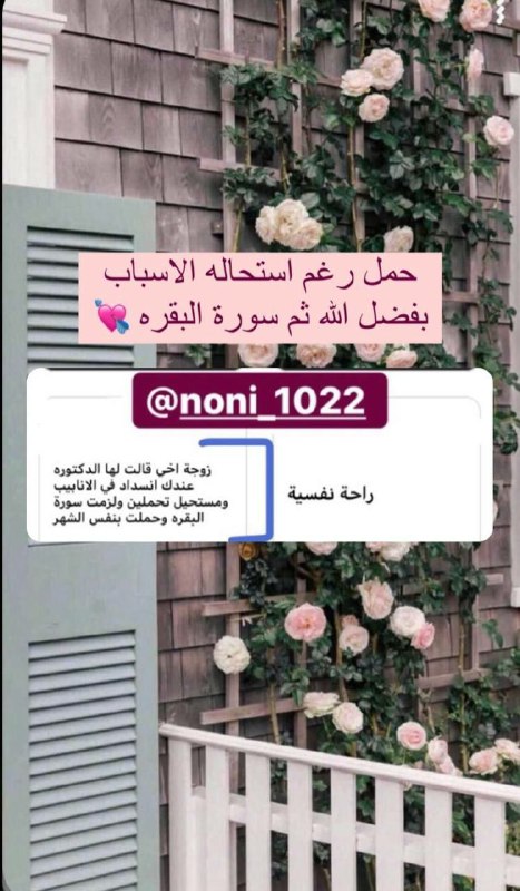سَـ𓂆ـارَة القَيسيّ🤍.