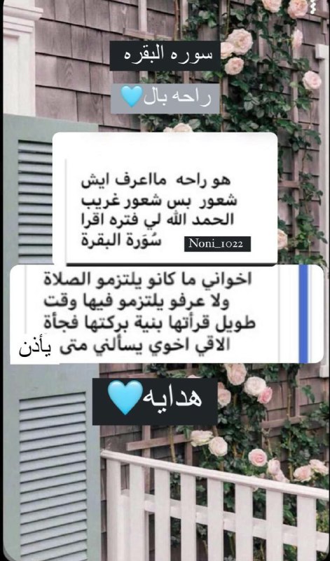 سَـ𓂆ـارَة القَيسيّ🤍.