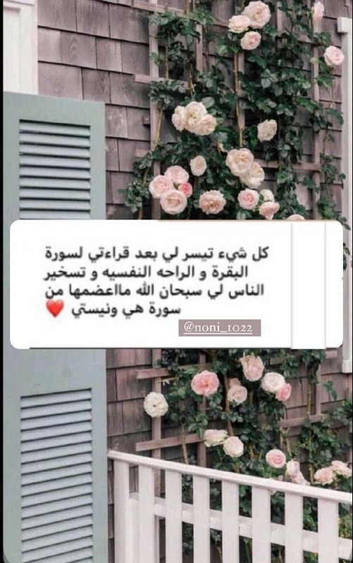 سَـ𓂆ـارَة القَيسيّ🤍.