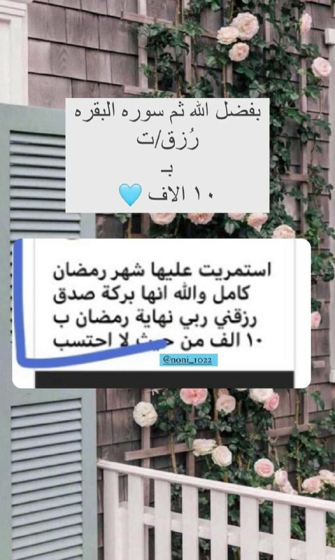 سَـ𓂆ـارَة القَيسيّ🤍.