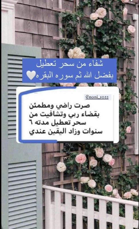 سَـ𓂆ـارَة القَيسيّ🤍.