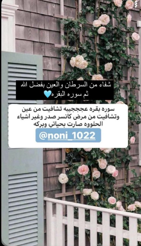 سَـ𓂆ـارَة القَيسيّ🤍.