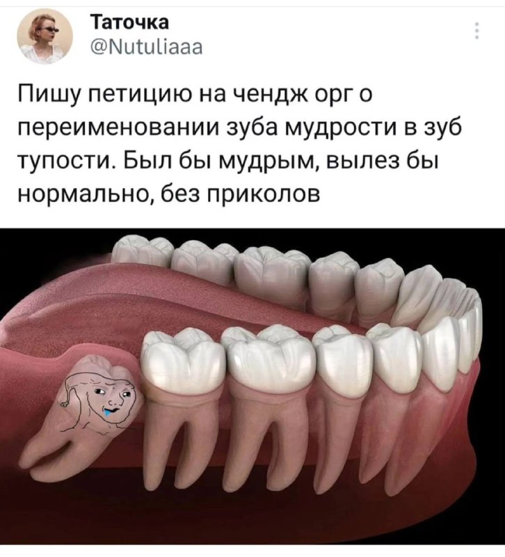 Экспертошная по мемам