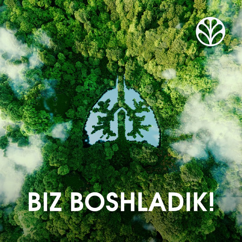 **2- Mavsumni boshladik!** ***🌲******🌳******🌴***