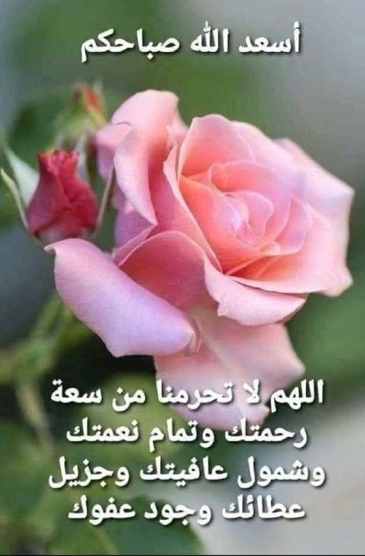 تعلم الفارسیة مع ساره