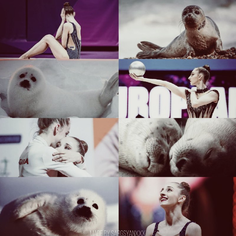 [Любимая зая, фанатка тюленей и Боряшика, …