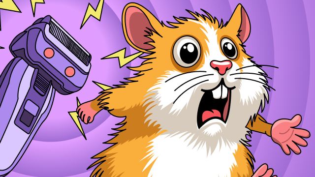 ***🐹*** [Hamsterdam](https://t.me/HamsterdamPlayBot/game?startapp=376260) 02.01.2025