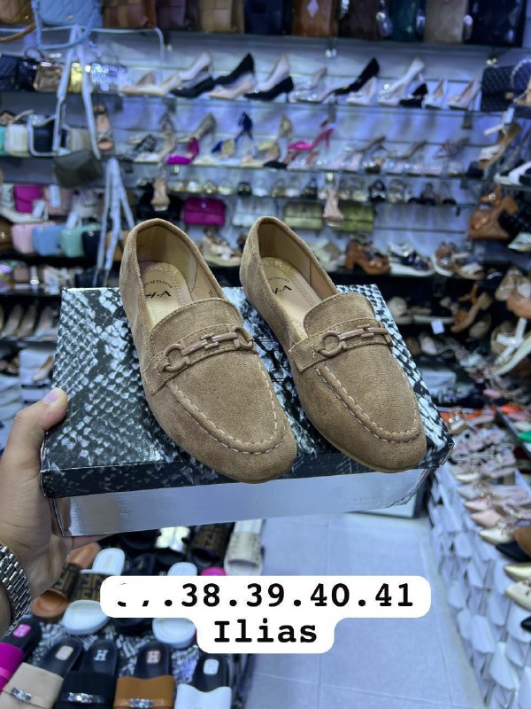 جملة الشمال(الفنيدق) عند سارة????