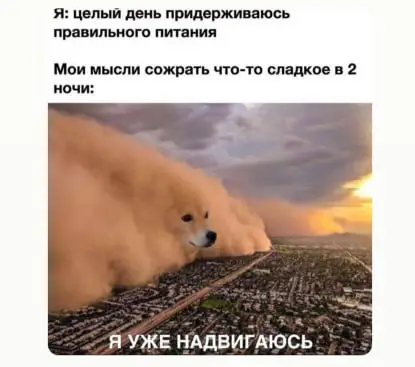 Саша шарит