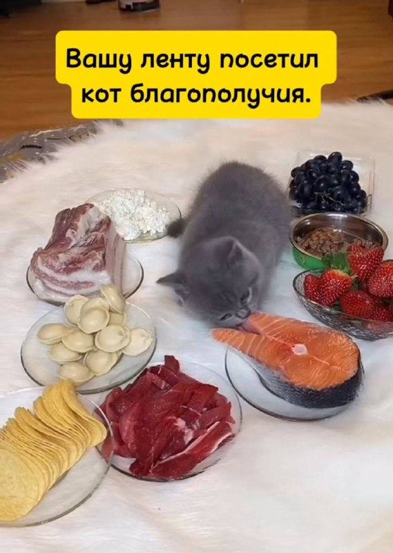 Невинный групповой чат 🐥