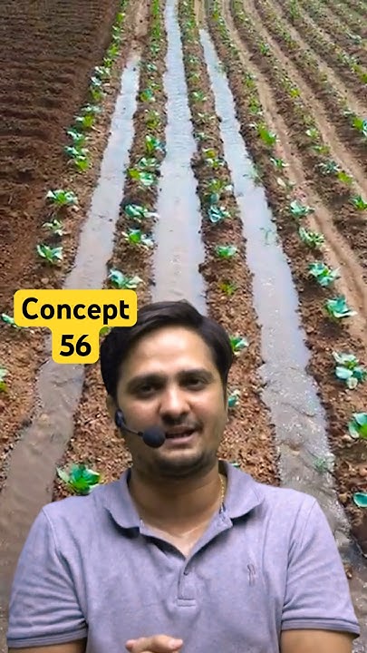 Concept-56 | Furrow Irrigation | Irrigation Engineering By Dushyant Sir