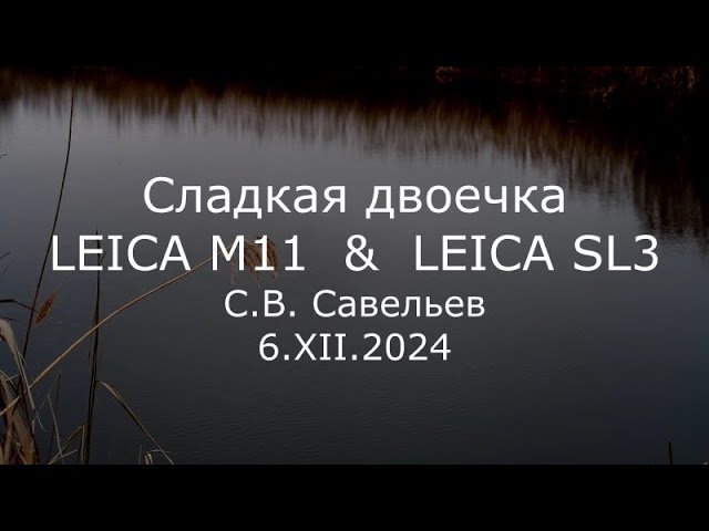 Профессор Сергей Савельев | Наука и …