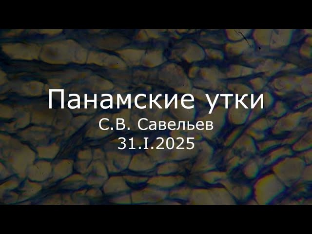 Профессор Сергей Савельев | Наука и …