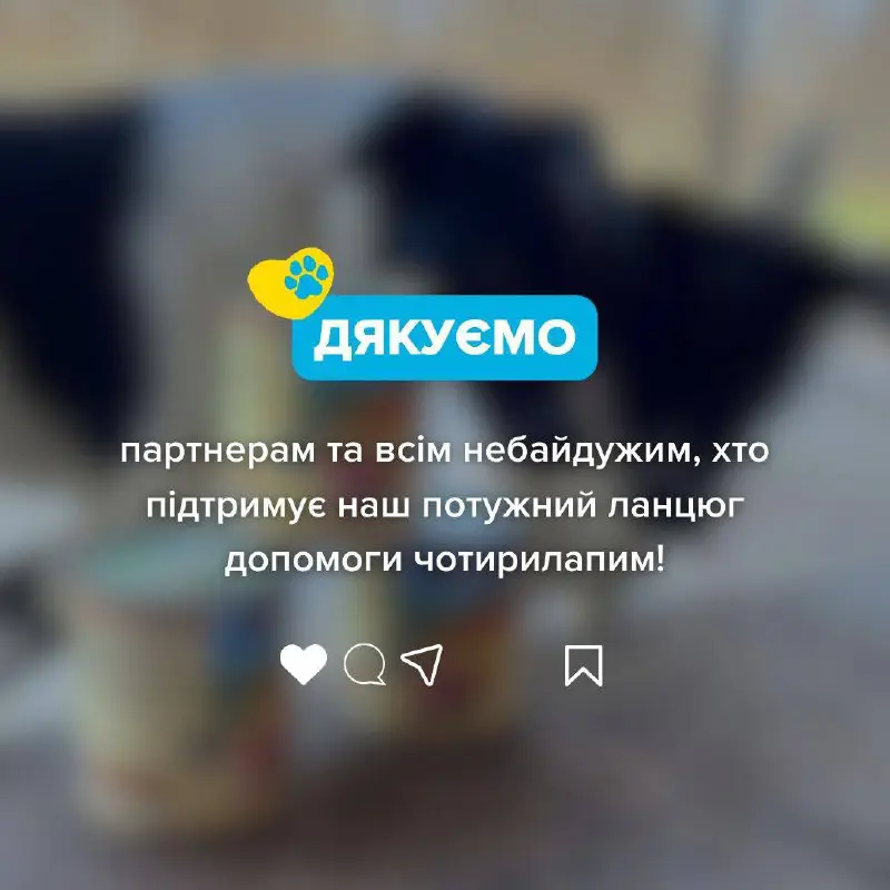 Save Pets of Ukraine