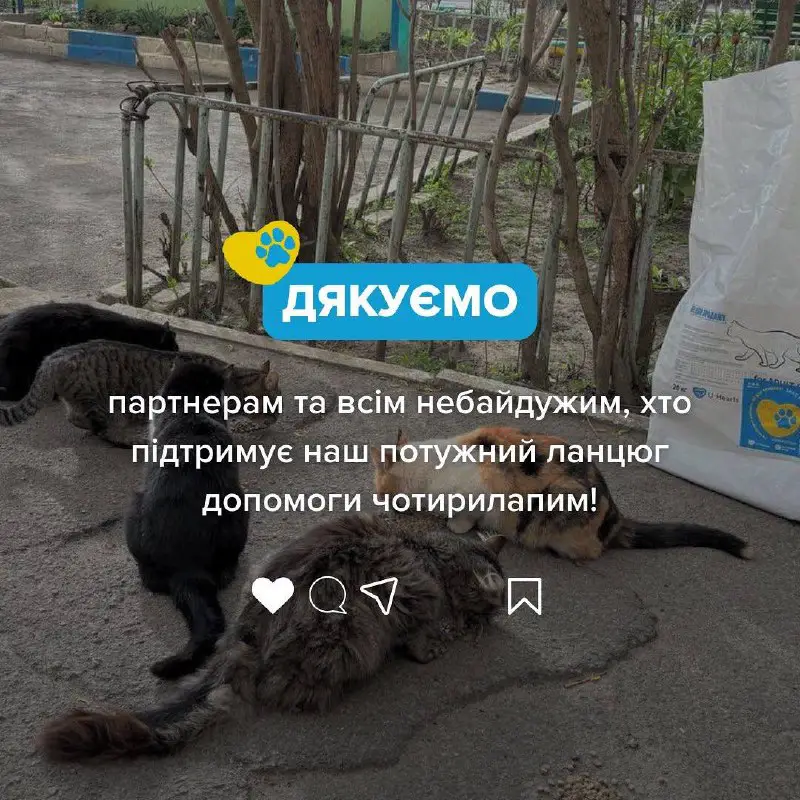Save Pets of Ukraine