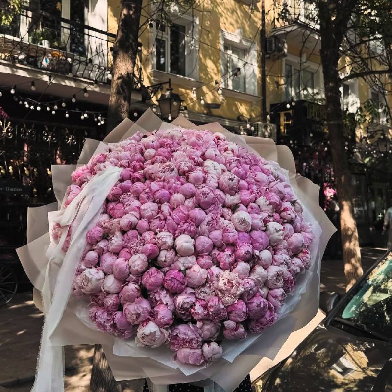 ***🎀***