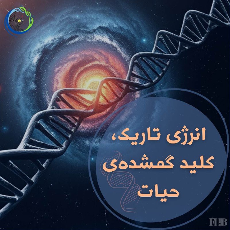 بازبینی معادله دریک