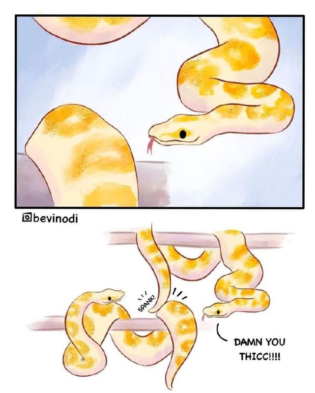 Cryptic Animal Posting (Reptiles unite🏳️‍🌈)