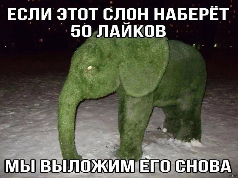 Эмм...Маленький уголок Виджа?